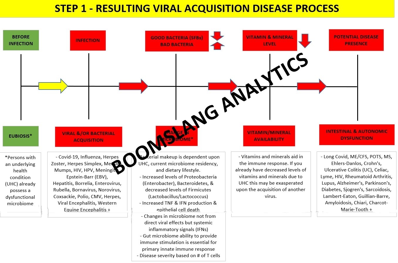 Viral Acquisition Disease Process