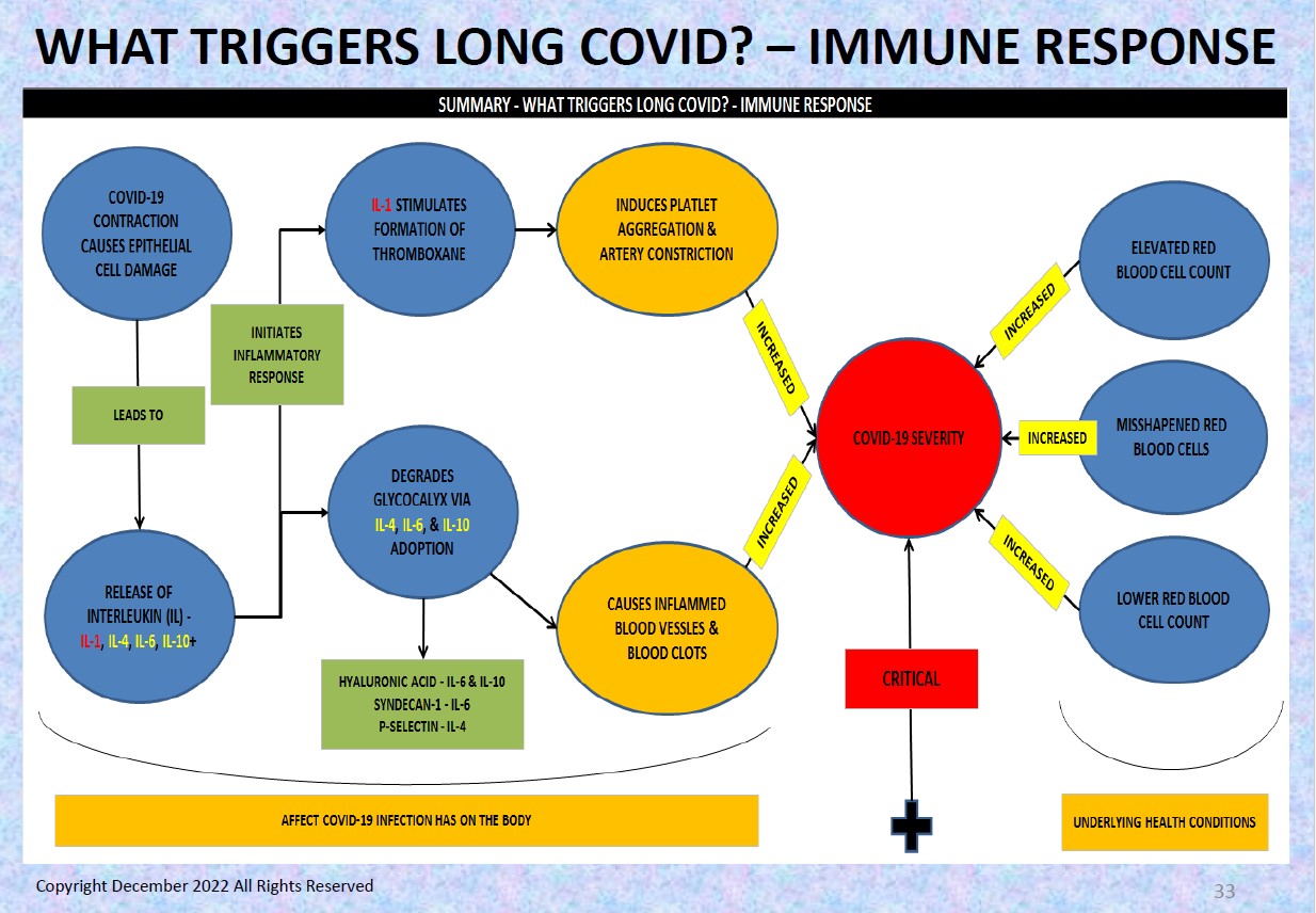 What triggers Long Covid? - Immune Response
