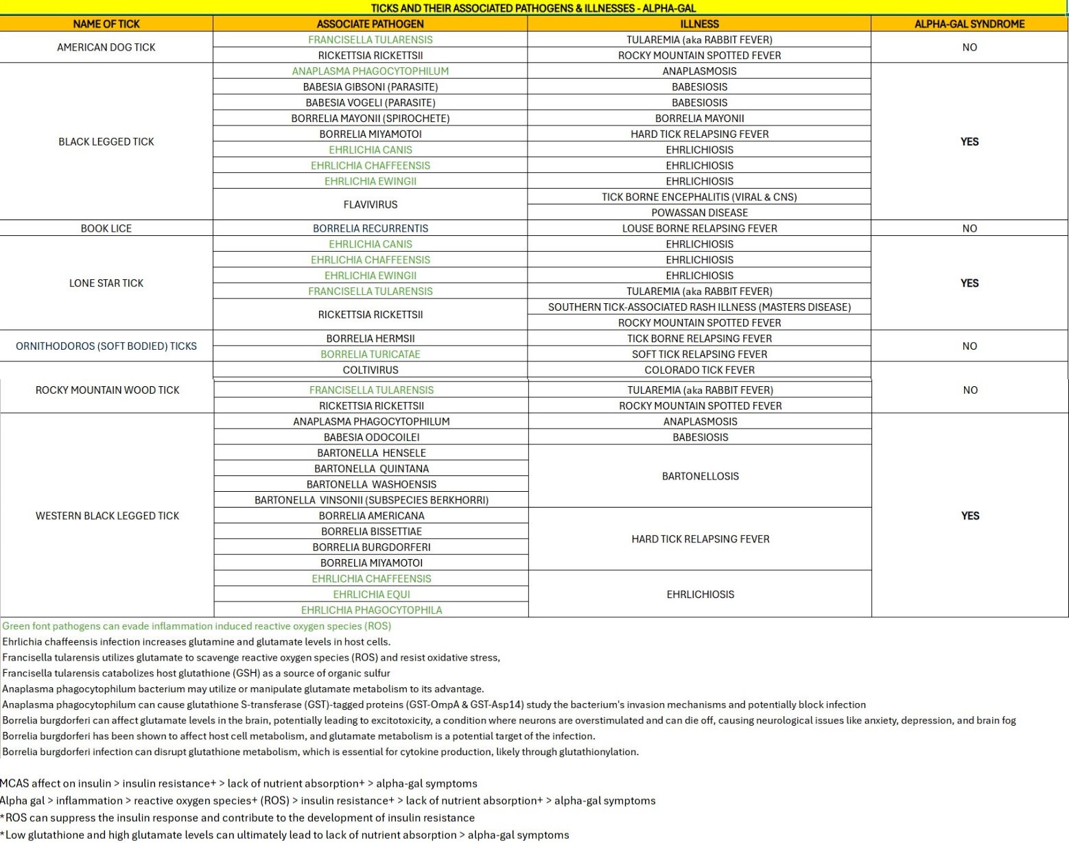 Lyme-Alpha Gal Syndrome